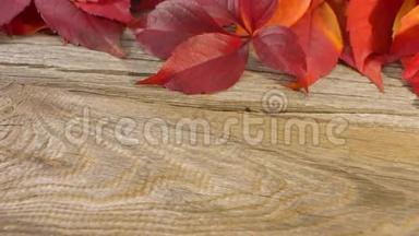 秋天的树叶在老式的木头背景上